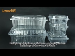 Transparent PET Salad Container Bowl with Lid Disposable Plastic Packaging