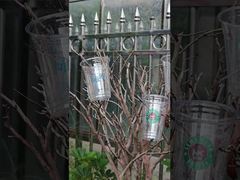 pet cold plastic cup