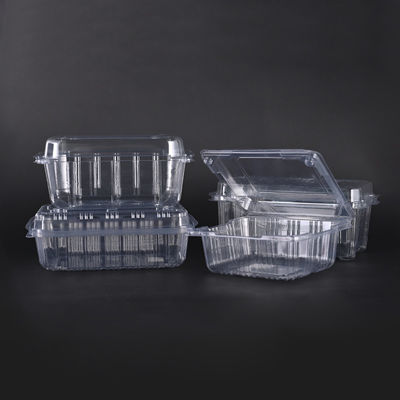 PET Fruit Container Disposable Plastic Containers With Dome Lid Disposable Clear Box
