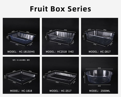 Plastic Salad Disposable Plastic Food Containers Transparent Take Away Food Box