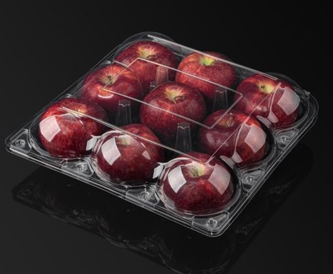 Transparent PET Clear Take Out Containers For Cake Salad Fruit Storage