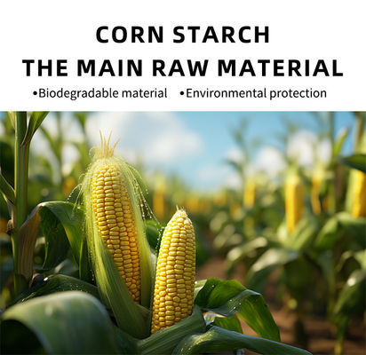 Customized Bio Degradable Food Packaging Cornstarch For Catering