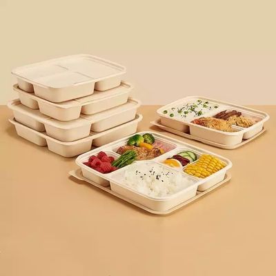 Ein guter Preis. Salat Biodegradable Lebensmittelverpackung mit kundenspezifischer Kartonverpackung Online