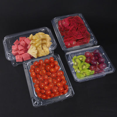 contenitore di insalata in PET trasparente con coperchio in imballaggio in plastica usa e getta